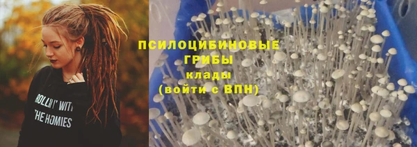 стаф Медвежьегорск
