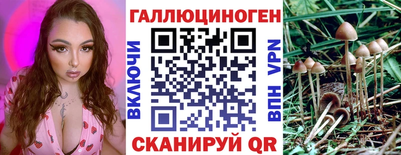 Галлюциногенные грибы MAGIC MUSHROOMS  мега как войти  Чадан 